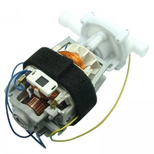 Newteam pump/motor assembly (SP-087-0110) - main image 2